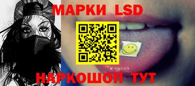 индика Можайск