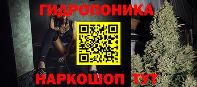 индика Можайск