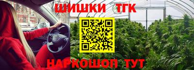 индика Можайск