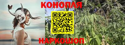 индика Можайск