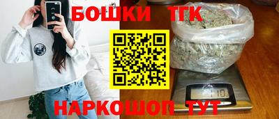 индика Можайск