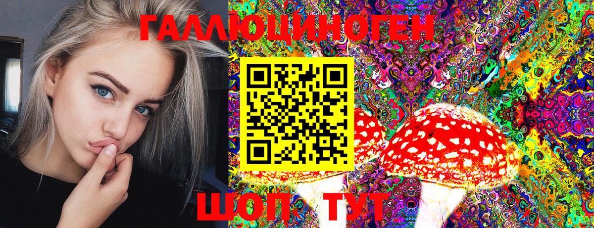 Гатчина  Галлюциногенные грибы мицелий  Вход с VPN 